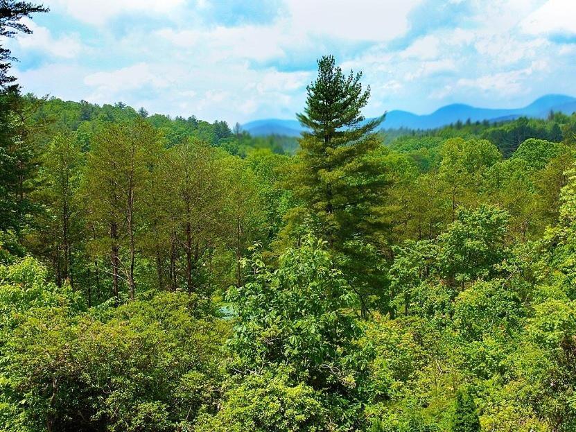 Long Mountain Lodge Bed & Breakfast Dahlonega Quarto foto